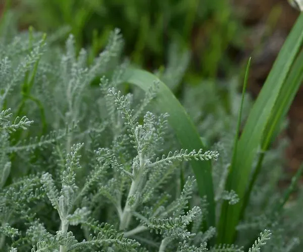 Il Cervo, & Wellness, Bike Hotel