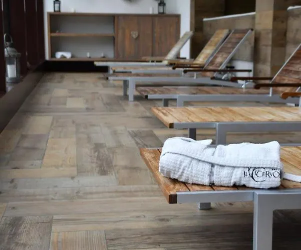 Il Cervo, & Wellness, Bike