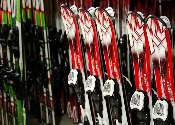 Hotel Il Cervo, & Wellness, Bike Tarvisio